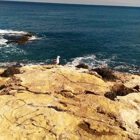 Daire Modern In With Terrace - 58 M² *